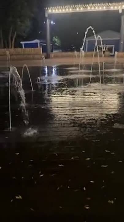 ������������