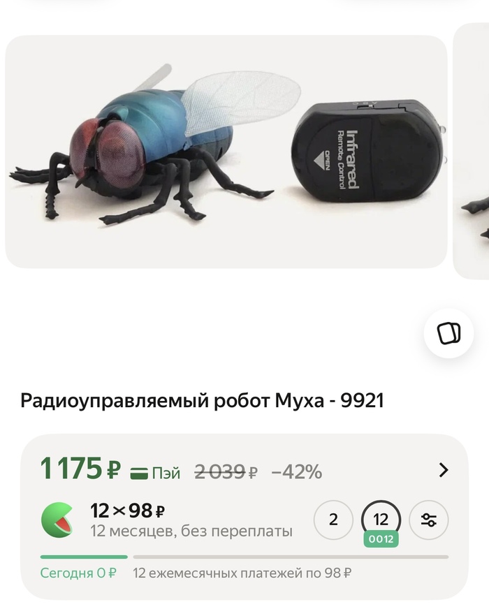 ???? Муха на пульте управления. Для чего? Зачем? Не ясно.