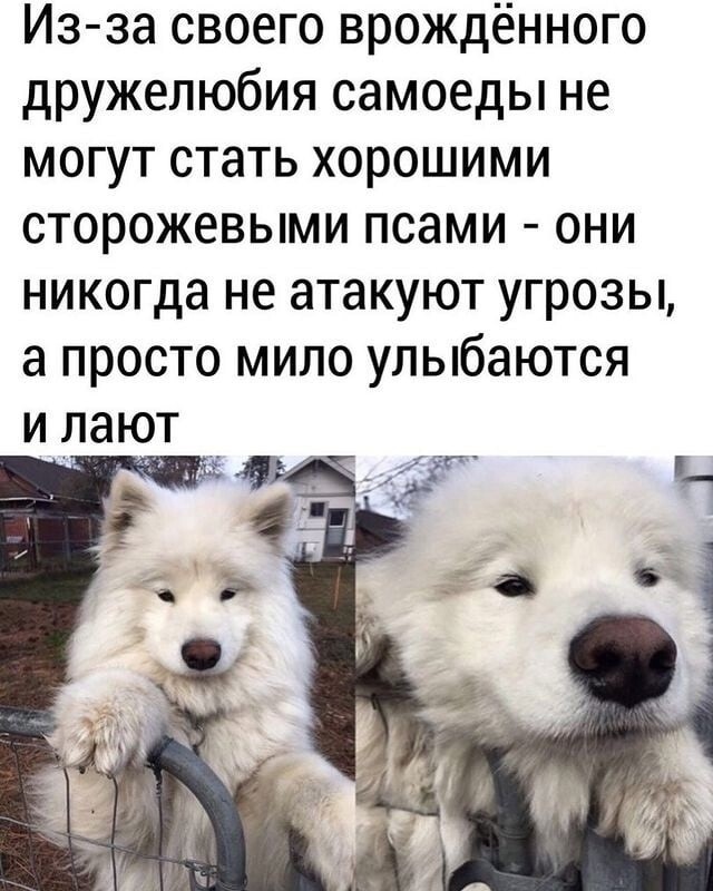 Подпишитесь пожалуйста.