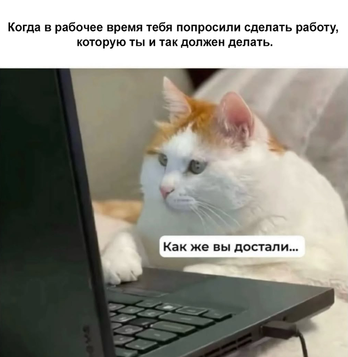 И не сделал