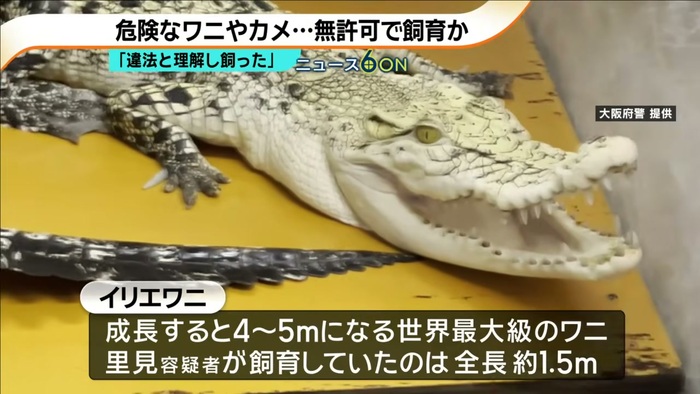 ���� ABC TV, ���� ������� �����