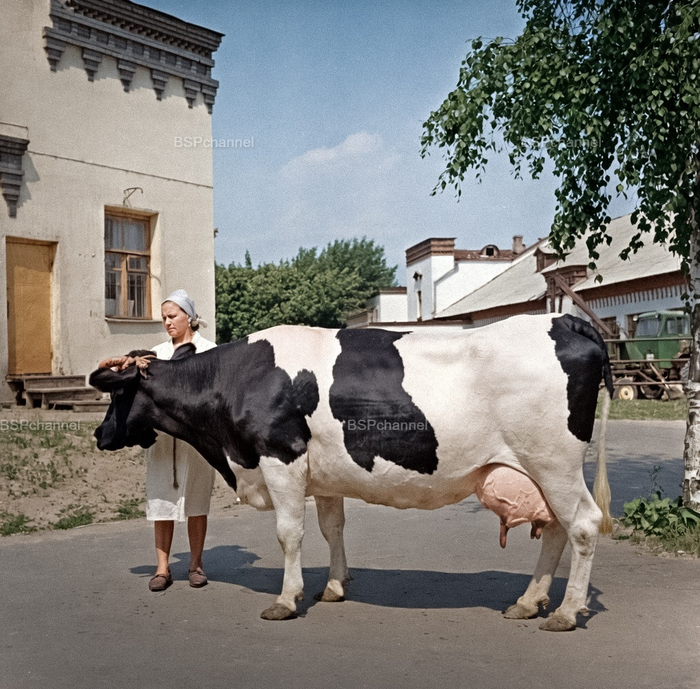 Фотограф: О. Лазаренко