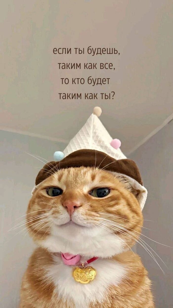 Приветствую тебя!