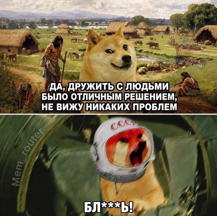 "Пойдем, они дают вкусную косточку", - говорили волки…