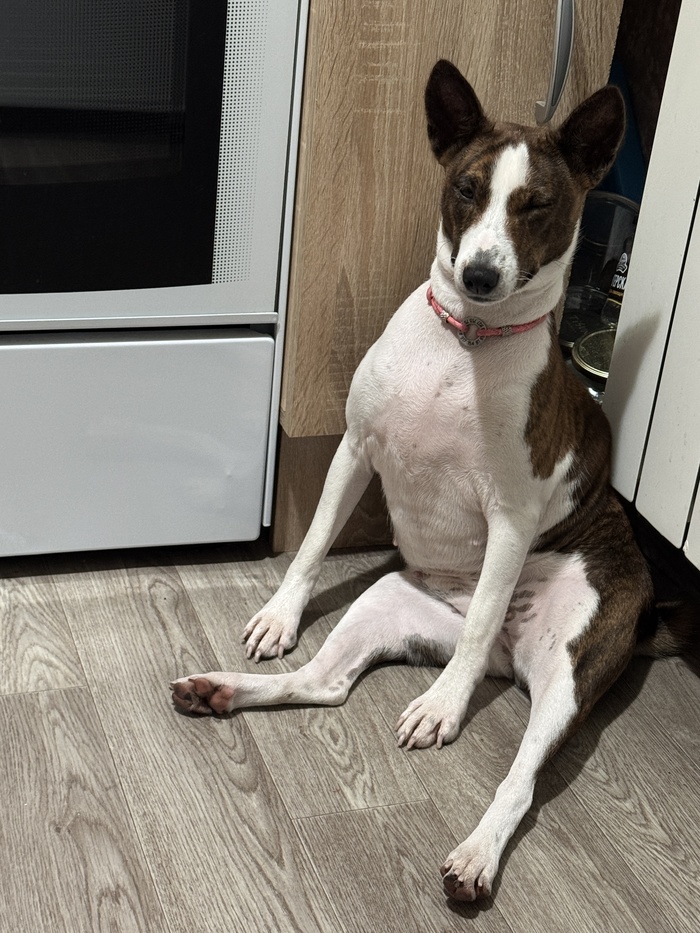 ����� Mia.Irenen � ��������� ���� ����� ��������� � ����� ��������� ����)�