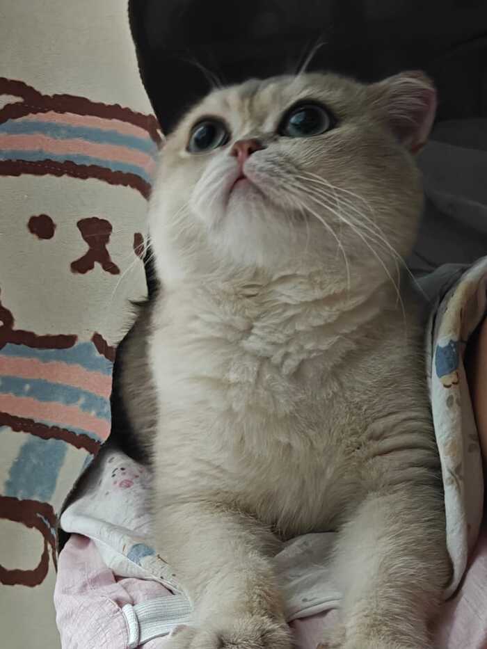 ��� ���