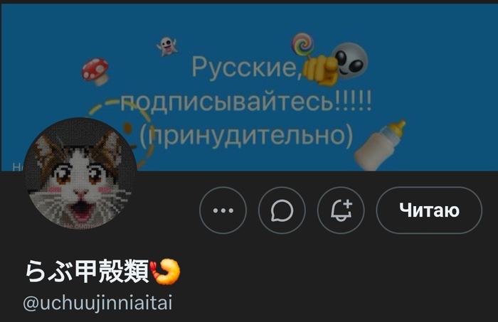 В шапке профиля 😄
