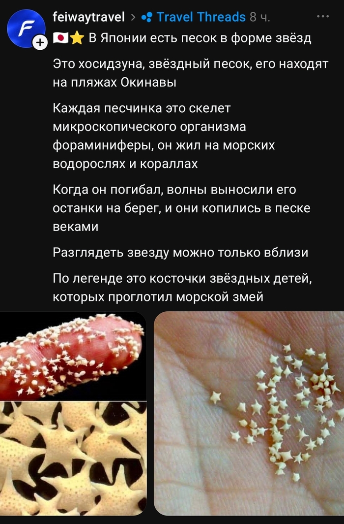 Без тапочек не ходить