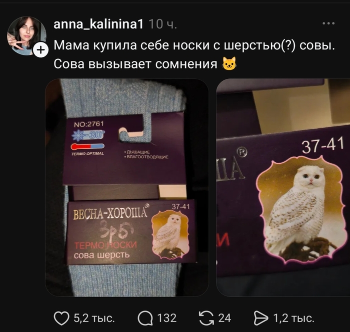 ����� ������������ ������