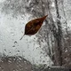 ����� ����� ������ ���� �����������