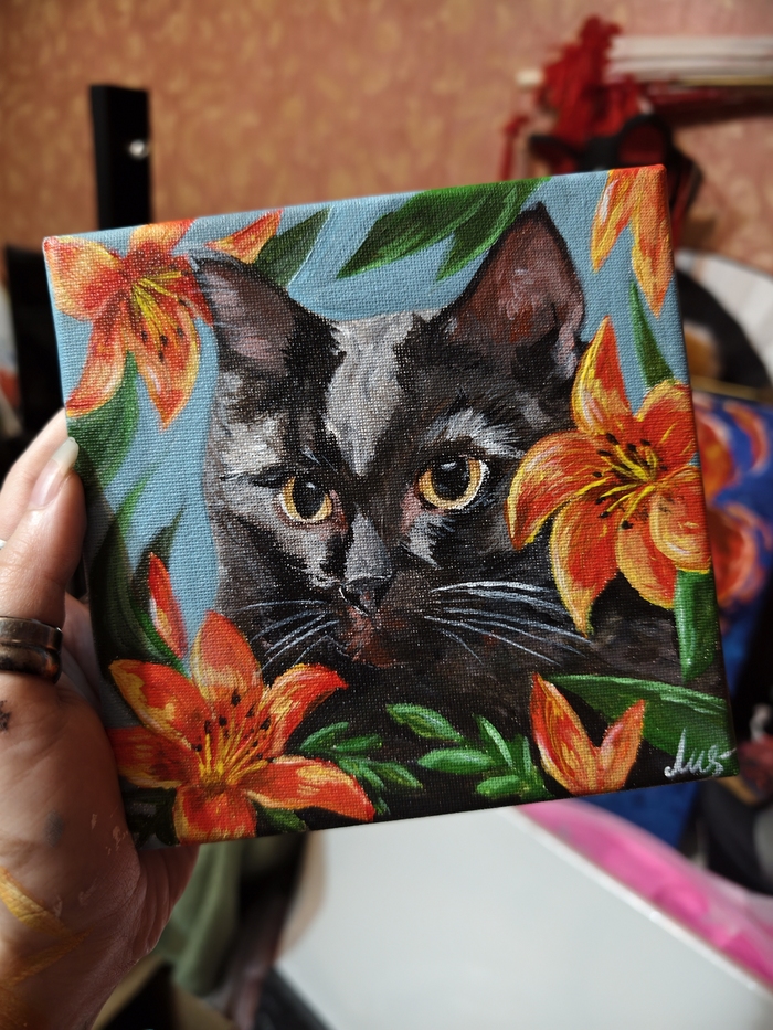 Кошка Дуся)