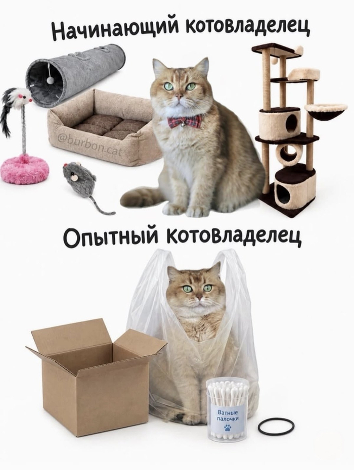 Котоуровень