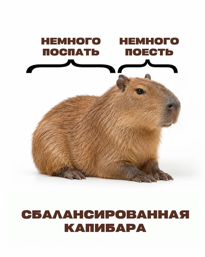 ���� ���������������� ��� ��������