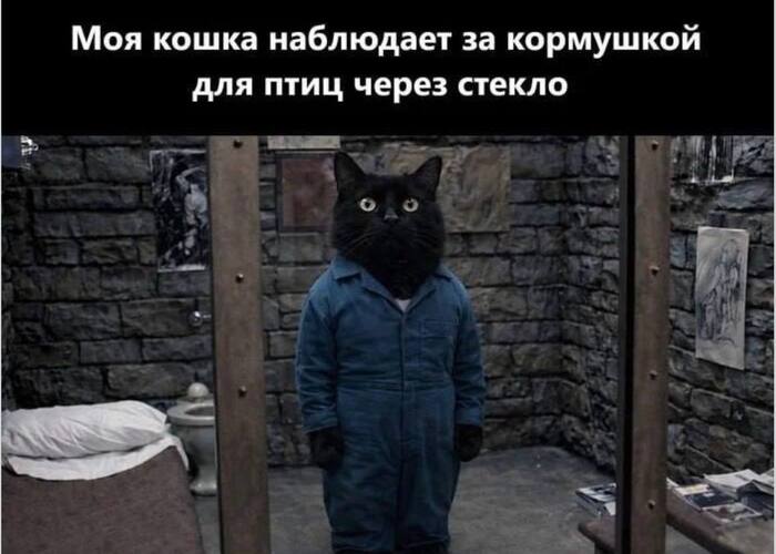 Молчание воробьев