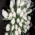 user12197115