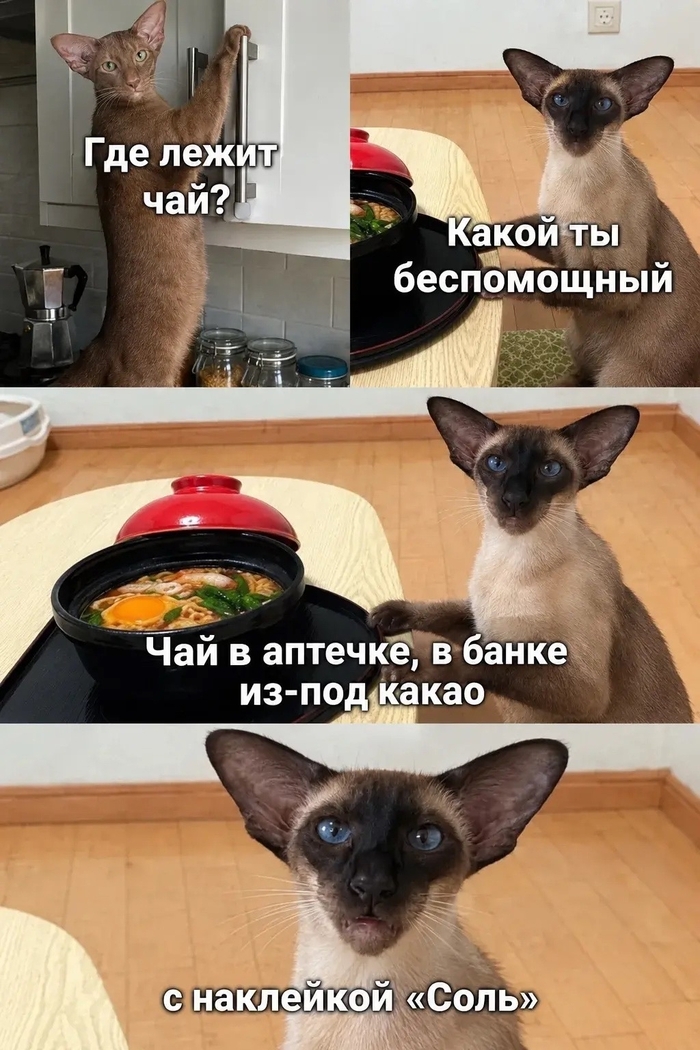 Бытовая мудрость передаётся по наследству