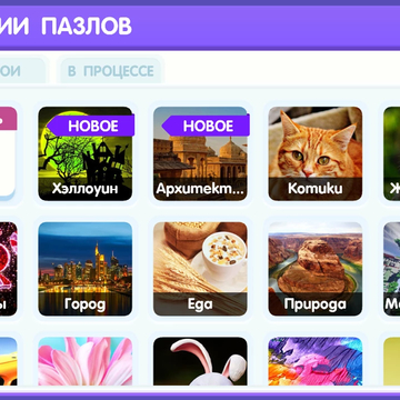 Пазл – это одна из занимательных, развивающих и обучающих игр, которая требует усидчивости, аккуратности, терпения, а главное — быть внимательным к мелочам.