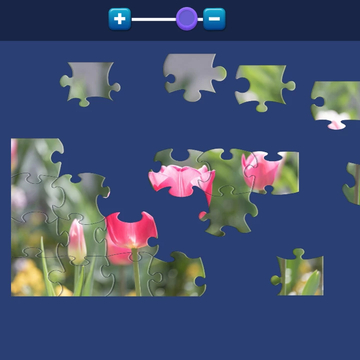 Пазл – это одна из занимательных, развивающих и обучающих игр, которая требует усидчивости, аккуратности, терпения, а главное — быть внимательным к мелочам.