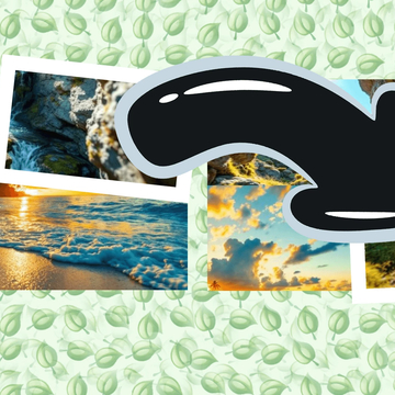 Собирай мир природы! Перемещай части картинки, чтобы восстановить оригинал. Исследуй леса, горы и океаны в захватывающих пазлах для всех возрастов!