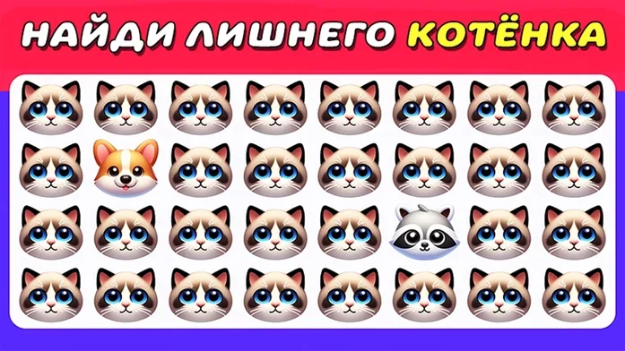 Найди Лишнего Котёнка на Пикабу Игры