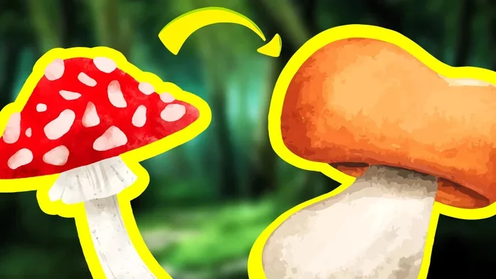 Соедини Грибы 2048! Лесное слияние на Пикабу Игры