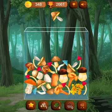 Собирайте грибы в лесу и соединяйте одинаковые, чтобы получать новые. Находите уникальные грибочки, расширяйте свою коллекцию. Расслабьтесь в атмосфере леса!
