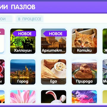 Пазл – это одна из занимательных, развивающих и обучающих игр, которая требует усидчивости, аккуратности, терпения, а главное — быть внимательным к мелочам.