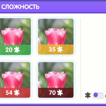 Пазл – это одна из занимательных, развивающих и обучающих игр, которая требует усидчивости, аккуратности, терпения, а главное — быть внимательным к мелочам.