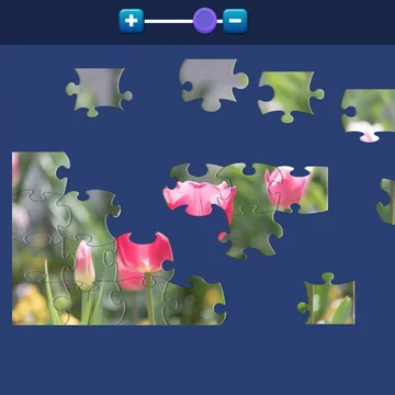 Пазл – это одна из занимательных, развивающих и обучающих игр, которая требует усидчивости, аккуратности, терпения, а главное — быть внимательным к мелочам.