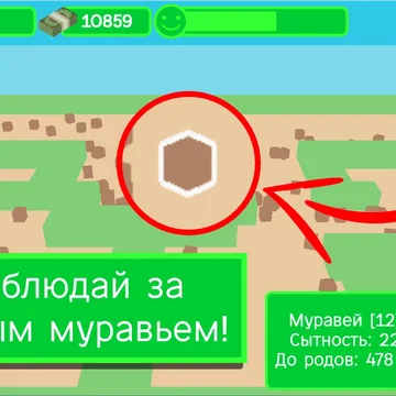 Заходи и выращивай колонию муравьев в своей ферме!
