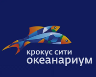 Крокус сити океанариум 