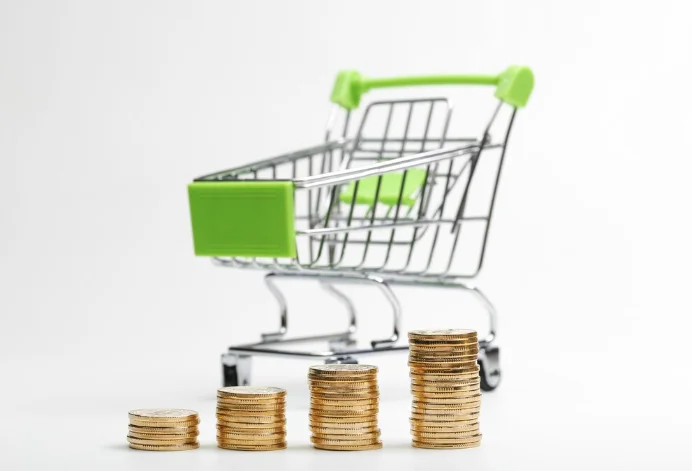 Штрафы за просрочку: как избежать переплаты