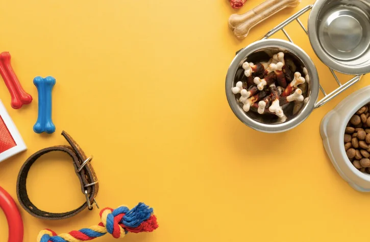 Советы владельцам животных: на чем точно нельзя экономить